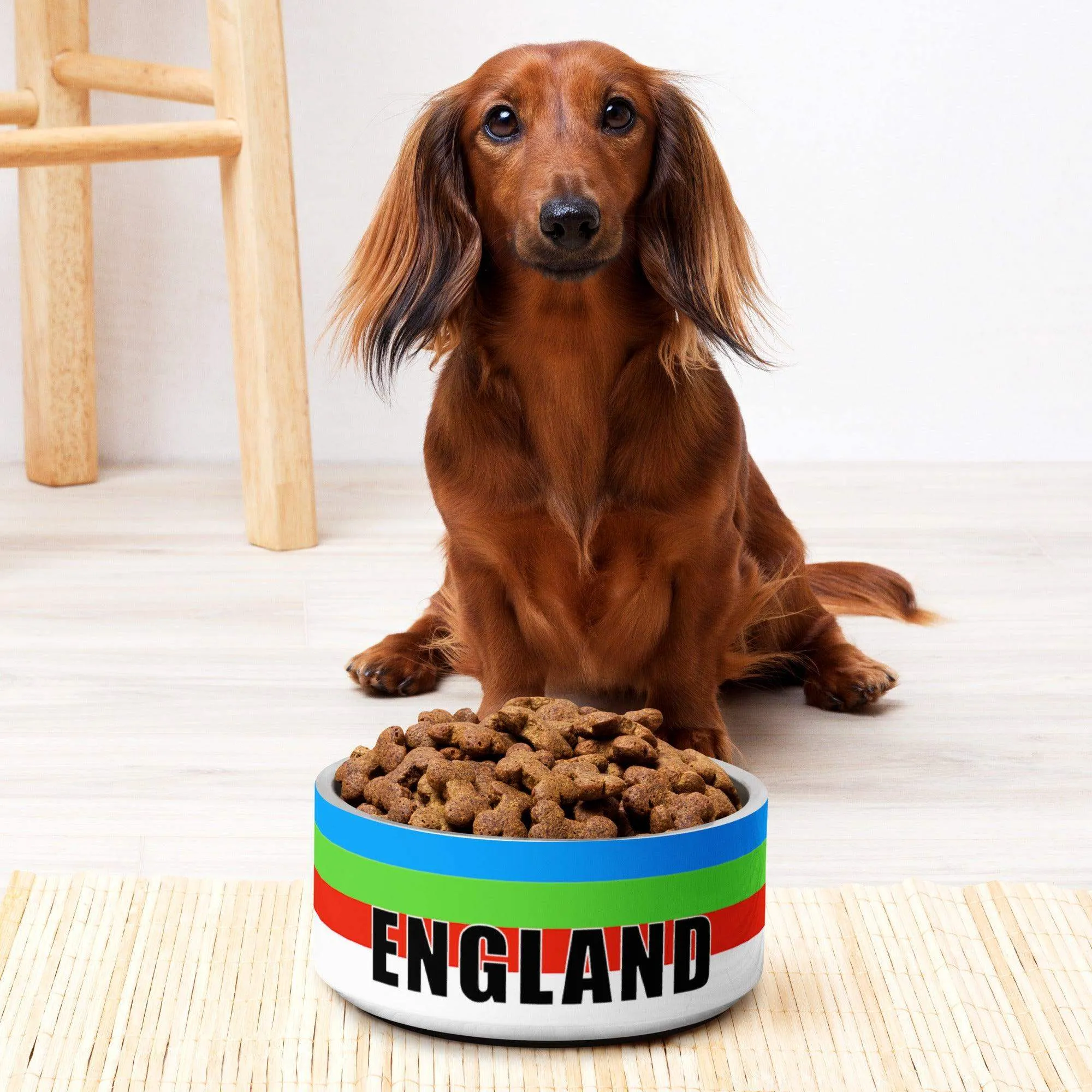 England Cricket Pet bowl